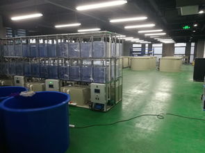 科創組團，引領變革 工業化淡水水產養殖研發中心矚目而成